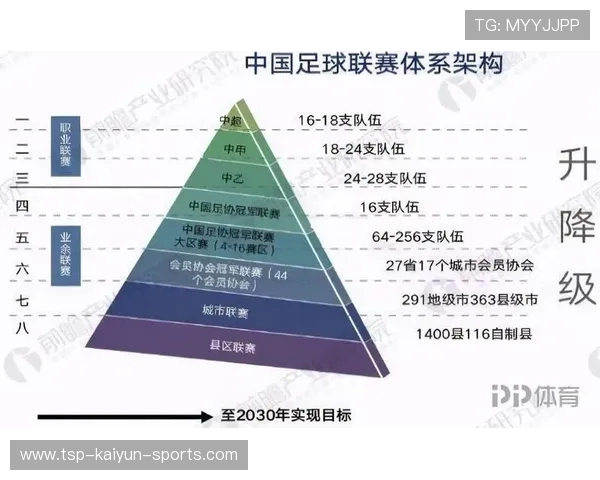 中国足球发展路径全景解析，中国足球的发展进程及未来趋势